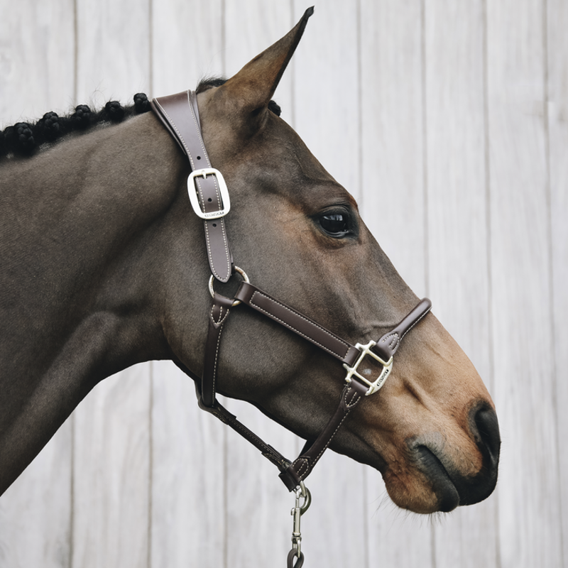 Kentucky Horsewear Anatomic Leather Halter Brown-2